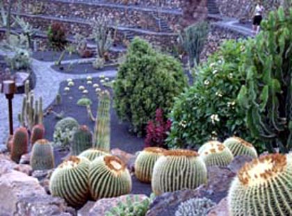 Lanzarote: Jardín de Cactus: Einzelheiten