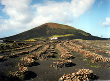 La zona de la Vegueta