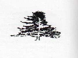 bodegas Bermejo logo