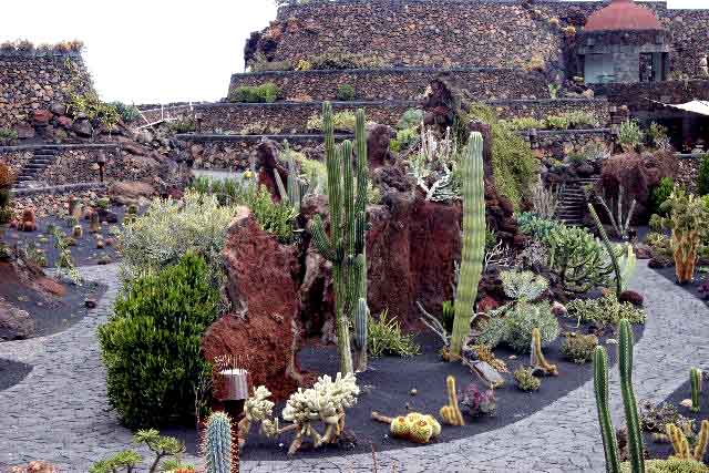 Lanzarote: Jardín de Cactus:la Piconera